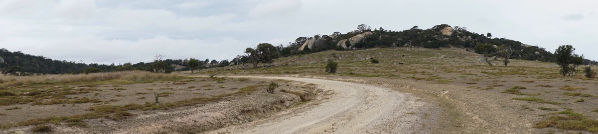 Stacks Image 158